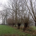 19.12.06 wandeling Gijzegem 07