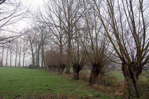 19.12.06 wandeling Gijzegem 07