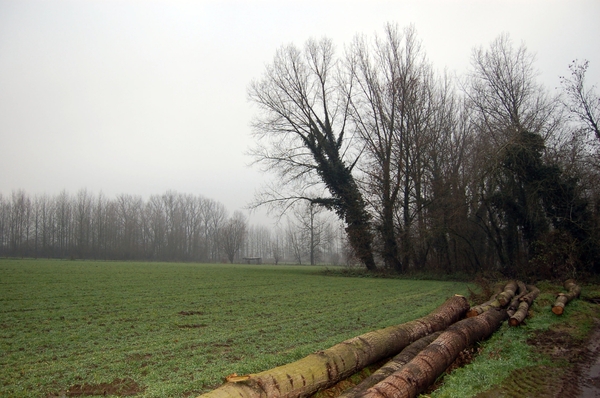 19.12.06 wandeling Gijzegem 09