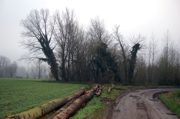 19.12.06 wandeling Gijzegem 10