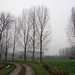 19.12.06 wandeling Gijzegem 11