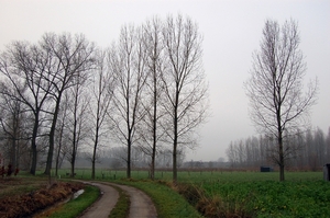 19.12.06 wandeling Gijzegem 11