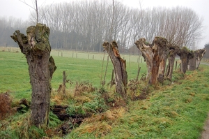 19.12.06 wandeling Gijzegem 13