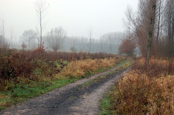 19.12.06 wandeling Gijzegem 18