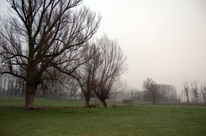 19.12.06 wandeling Gijzegem 20