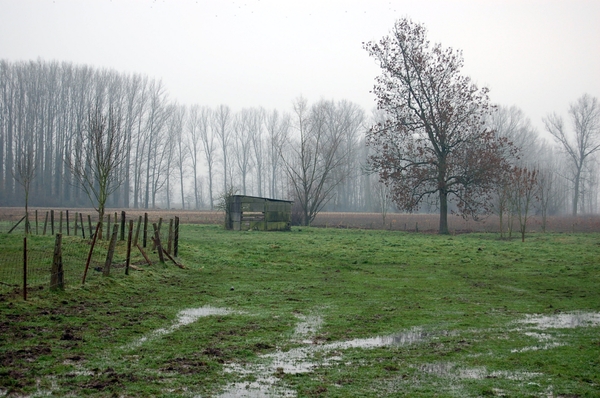 19.12.06 wandeling Gijzegem 21