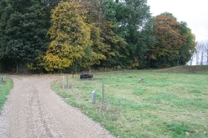 Herfstkleuren2009 090