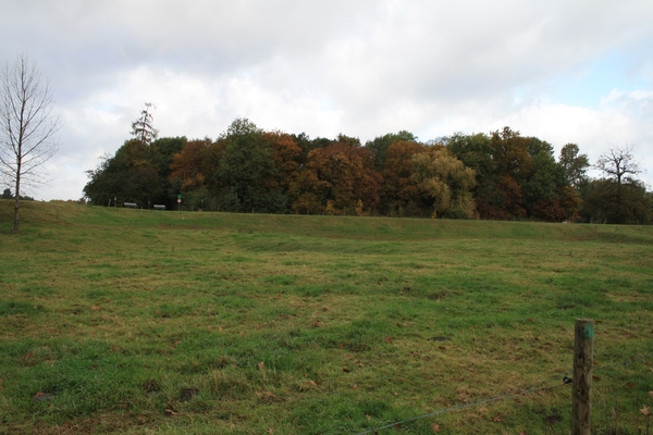 Herfstkleuren2009 091