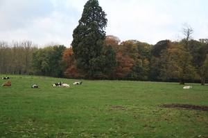 Herfstkleuren2009 105