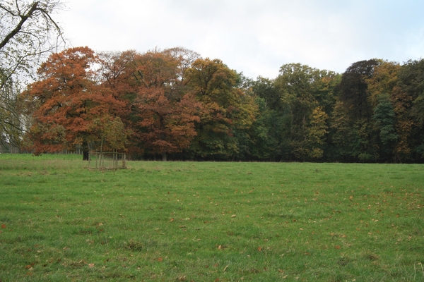 Herfstkleuren2009 109