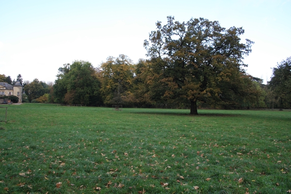 Herfstkleuren2009 113