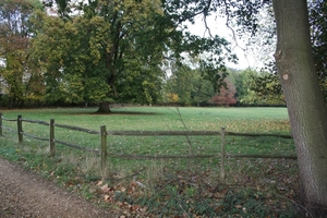 Herfstkleuren2009 123