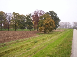 herfstkleuren 003