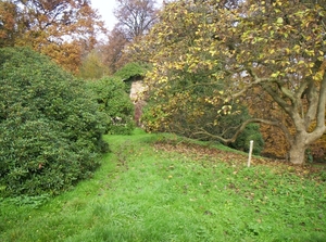 herfstkleuren 067