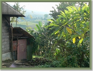 Onderweg naar Zuid Bali