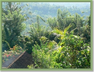 Onderweg naar Zuid Bali