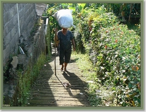 Onderweg naar Zuid Bali