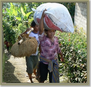 Onderweg naar Zuid Bali