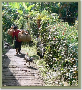 Onderweg naar Zuid Bali