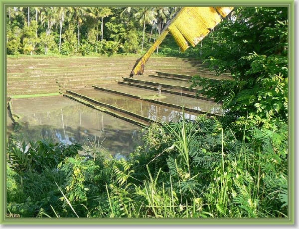 Onderweg naar Zuid Bali