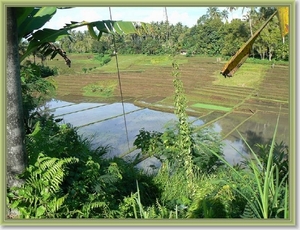 Onderweg naar Zuid Bali