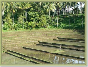 Onderweg naar Zuid Bali