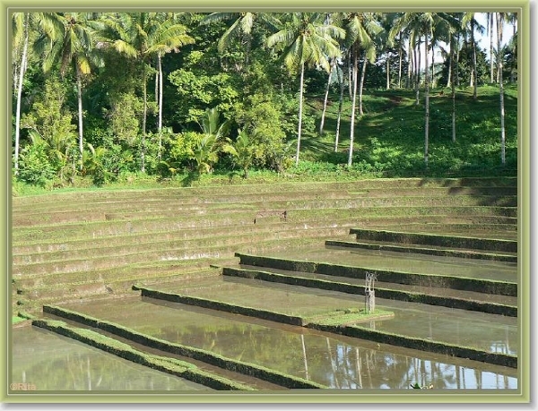 Onderweg naar Zuid Bali