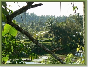 Onderweg naar Zuid Bali