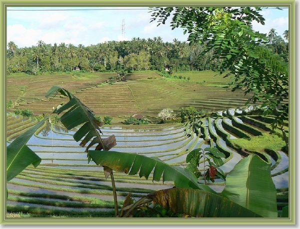 Onderweg naar Zuid Bali