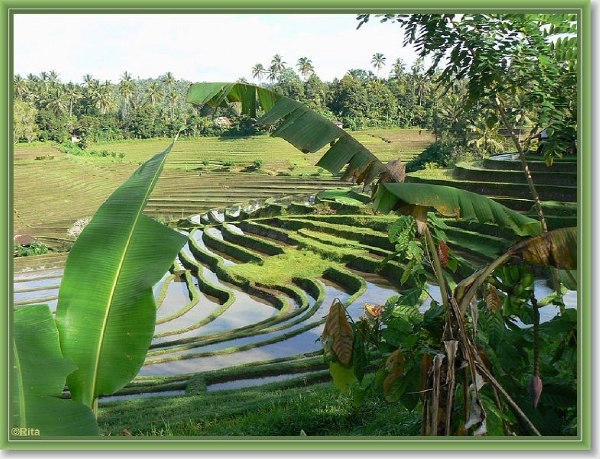 Onderweg naar Zuid Bali