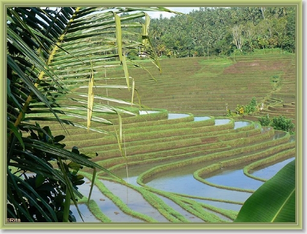 Onderweg naar Zuid Bali