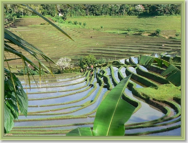 Onderweg naar Zuid Bali