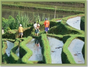 Onderweg naar Zuid Bali