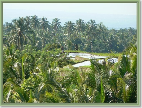 Onderweg naar Zuid Bali