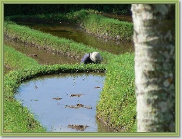 Onderweg naar Zuid Bali