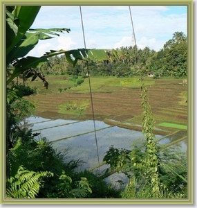 Onderweg naar Zuid Bali