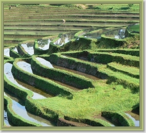 Onderweg naar Zuid Bali