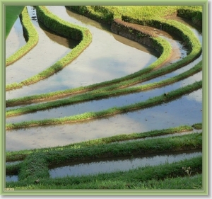 Onderweg naar Zuid Bali