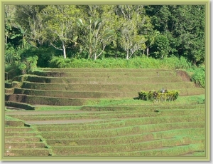 Onderweg naar Zuid Bali