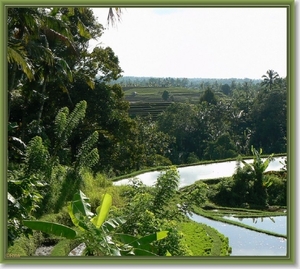 Onderweg naar Zuid Bali