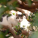 DSC_0131_edited