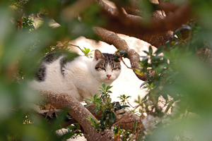 DSC_0131_edited