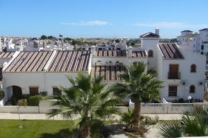 TORREVIEJA_0210_VIOL17