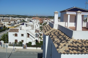 TORREVIEJA_0210_VIOL26