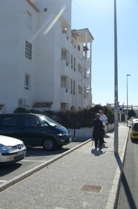 TORREVIEJA_0210_VIOL2