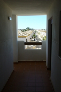 TORREVIEJA_0210_VIOL18