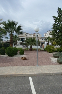 TORREVIEJA_0210_VIOL39