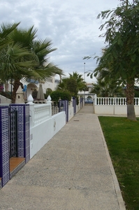 TORREVIEJA_0210_VIOL46