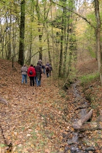 079 Massembre 1é wandeling (1)