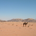 wadi rum 5